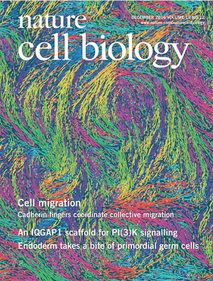 Arnold’s paper made the cover of Nature Cell biology!